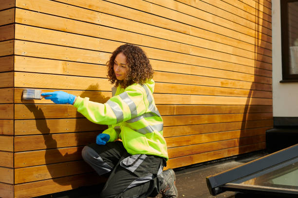 Best Fascia and Soffit Installation  in Heyburn, ID